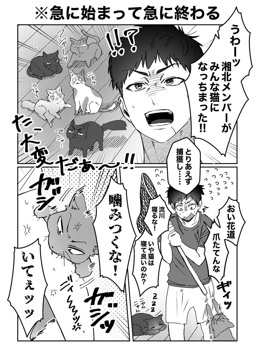 【🐾🏀企画告知- ̗̀📢🐾】
10/1ネバギブポインター!4 新刊

3️⃣井とニャンコのプチアンソロジー
サンプル紹介④[4/7]

バスケ部 ねこ化騒動━・・・⁉️

『後輩は猫である?』
キミコ(@sd_kmk )

『おとなしくしろぃッ!!』
ナカ(@58hrprtr ) 