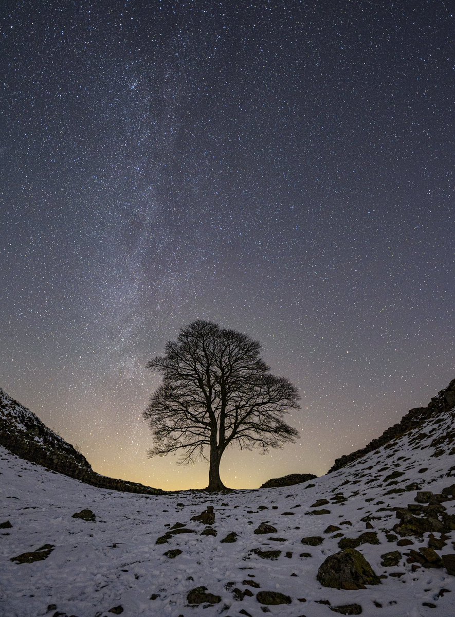 Woke up to the sad news this morning that the iconic sycamore gap has been felled overnight. Living just 5 minutes down the road, it has been a place of solace for me on dark starry nights. It was a symbol that represented the unrivalled history and beauty of Northumberland.
