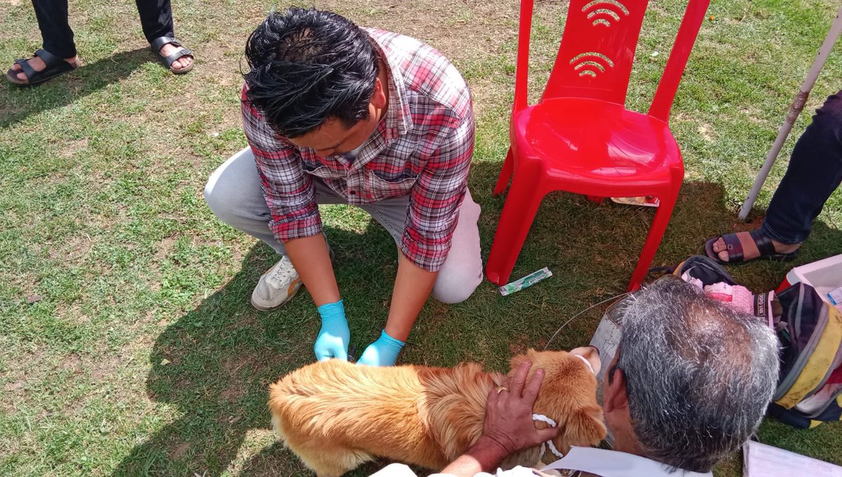 DBomdila's tweet photo. Raising awareness to eliminate human rabies deaths by 2030. An insightful camp on rabies prevention and pet vaccinations held at Buddha Park, Bomdila. Let's protect our furry friends and ensure a rabies-free future! #WorldRabiesWeek #PetSafety #Bomdila https://t.co/IJT5pepaQg