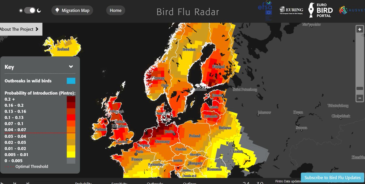 🌟Now available ⤵️ Improved #BirdFluRadar New features allow users to explore weekly predictions of the probability of #HPAI introduction in wild birds. Check it out 👇 app.bto.org/mmt/avian_infl… #AnimalHealth #AvianInfluenza