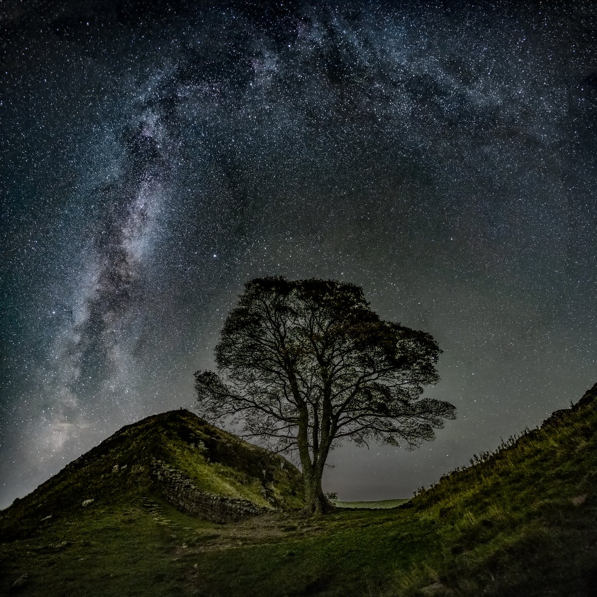 FujiFreak's tweet image. The last photographs I took of #sycamoregap and sadly the last I'll ever take that will include the iconic tree. 
Devastating news of utterly disgraceful, wanton, needless  destruction 🤬