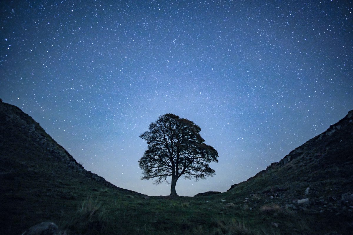 FujiFreak's tweet image. The last photographs I took of #sycamoregap and sadly the last I'll ever take that will include the iconic tree. 
Devastating news of utterly disgraceful, wanton, needless  destruction 🤬