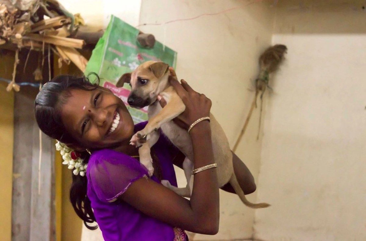 🌏 🐾 Today is World Rabies Day! 🌏 🐾 @miqedup and Dr Zinia Nujum discuss the critical role of the One Health approach in eliminating rabies in our latest blog. Read how India 🇮🇳 is leading the way in this fight. 👉buff.ly/3LFN68d