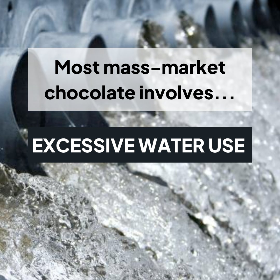 Did you know that 55% more water is used in chocolate 🍫 production than beef? 

In fact, a staggering 1,000 litres of water is needed to produce just one chocolate bar.

We’re proud to say that our choc uses 90% less water than conventional chocolate.

#Sustainable #Chocolate