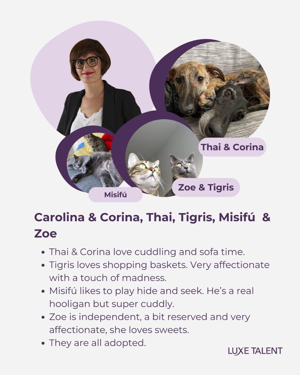 luxetalent's tweet photo. What have you learned from your pet? 🐾

At Luxe Talent, we love our pets. We have certainly learned from them responsibility, empathy, patience… ❤️🐶🐱

You've loved part 1, so we serve part 2… 🎉

#Pet #PetFriendlyOffice #Cats #Dogs #LuxeTalent https://t.co/VydMQP7Ybl
