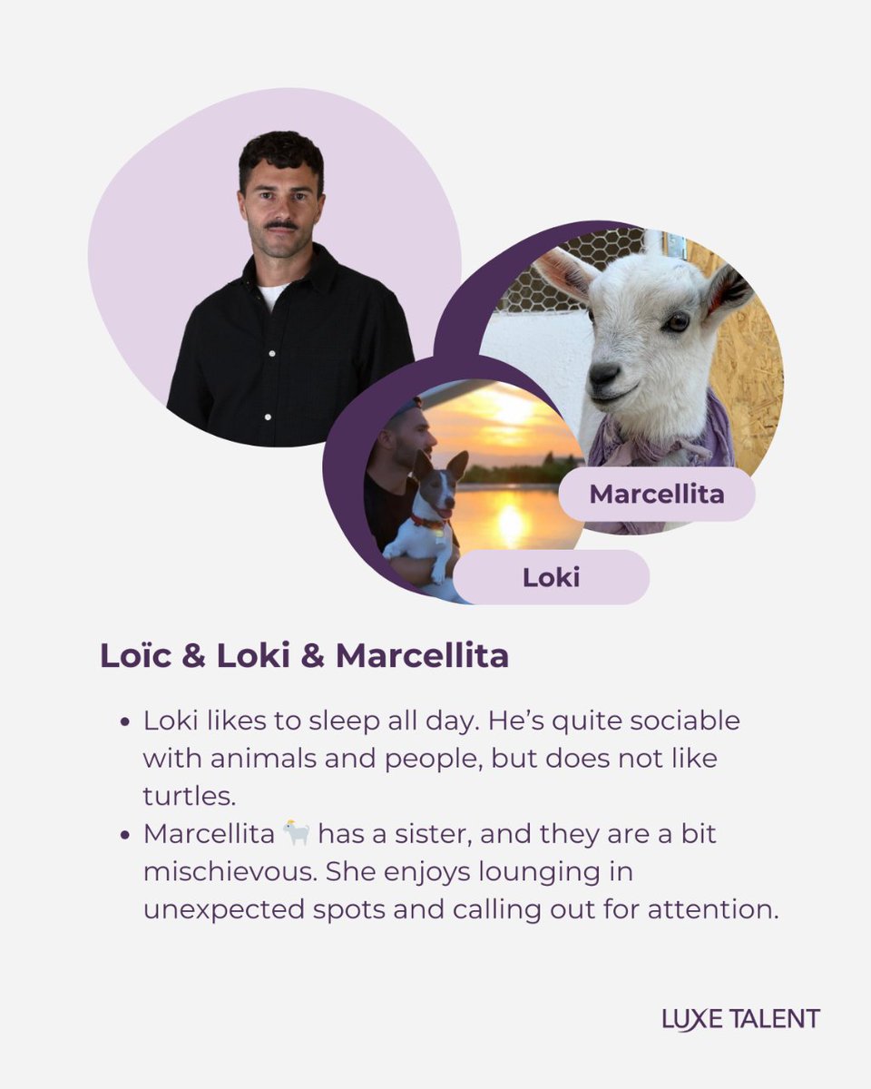 luxetalent's tweet photo. What have you learned from your pet? 🐾

At Luxe Talent, we love our pets. We have certainly learned from them responsibility, empathy, patience… ❤️🐶🐱

You've loved part 1, so we serve part 2… 🎉

#Pet #PetFriendlyOffice #Cats #Dogs #LuxeTalent https://t.co/VydMQP7Ybl