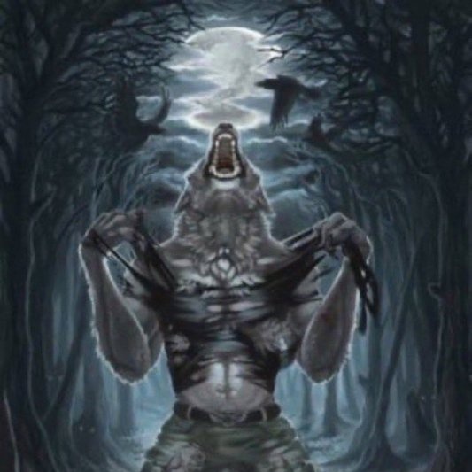 TE AMO FIONNA Y CAKE, GRACIAS POR EXISTIR