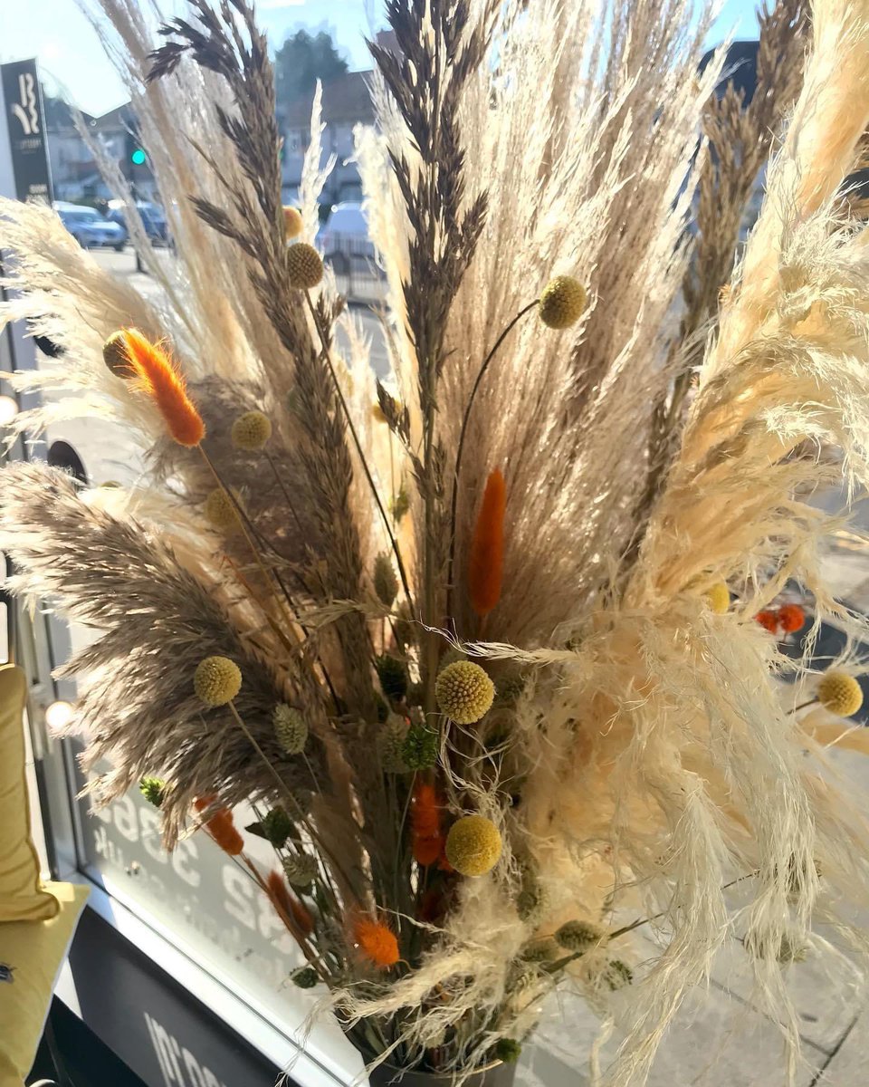 borgaginst's tweet photo. M&M Hair, Autumn 🍂 has arrived at the salon, and it looks FABULOUS 🤩thanks to the amazing talented Pasha 🍁 🍂
#mandmhair #autumndisplay #windowdisplay #windowdressing #pampasgrass #autunmcolors #salonstyle #window #display #style #decor #autumndecorations https://t.co/Xqz4ZcoehY