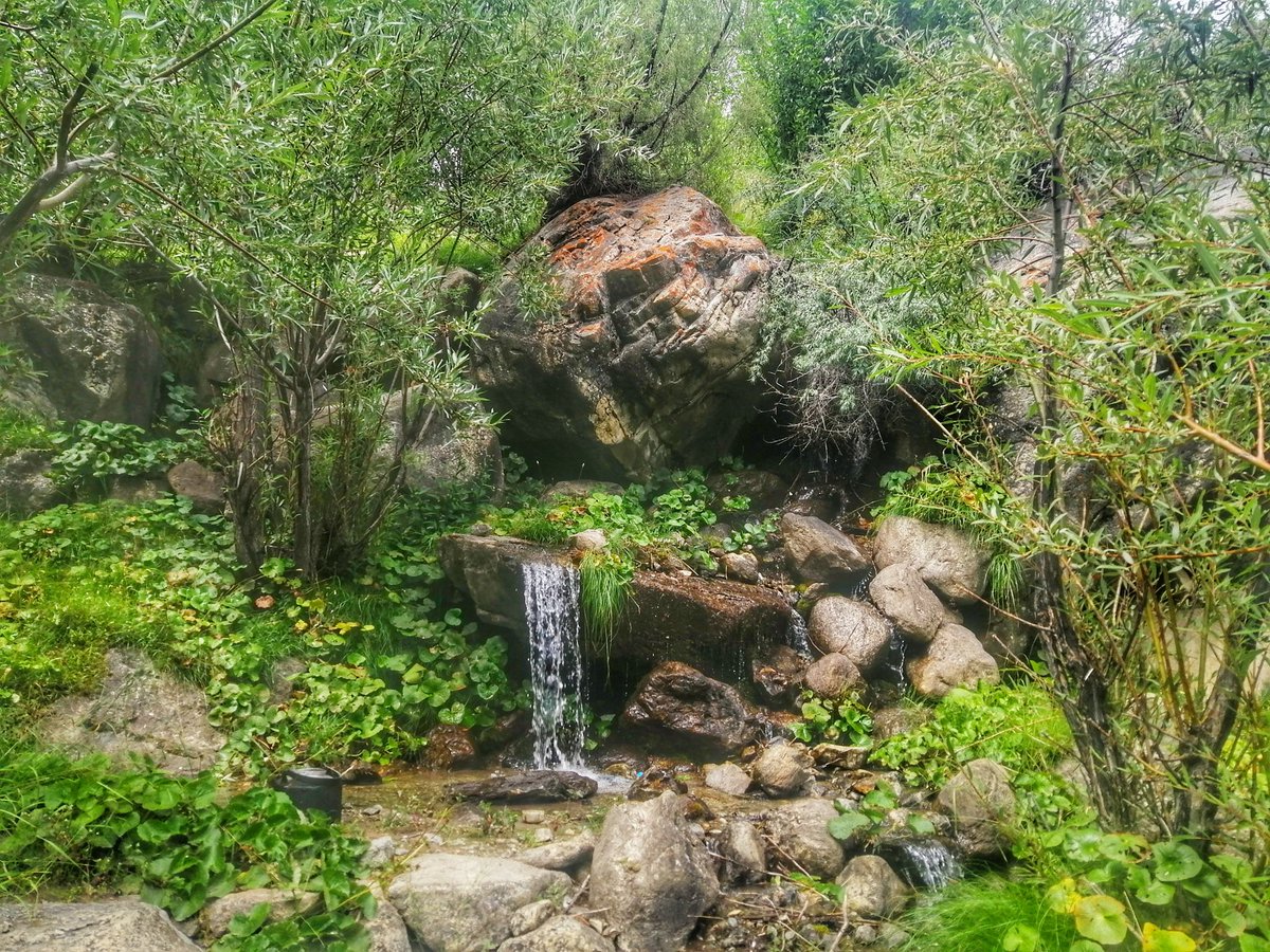 sajidrazaali's tweet photo. Good morning friends 🤗
I would take bath here every Sunday untill I passed my 8th grade. The flow of water has significantly reduced now, however. The pyramids above the waterfall stand tall like before.
#Myvillage #RupalValley #tarishing https://t.co/xMPULv2LR9