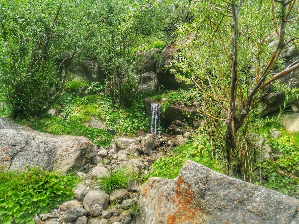 sajidrazaali's tweet photo. Good morning friends 🤗
I would take bath here every Sunday untill I passed my 8th grade. The flow of water has significantly reduced now, however. The pyramids above the waterfall stand tall like before.
#Myvillage #RupalValley #tarishing https://t.co/xMPULv2LR9