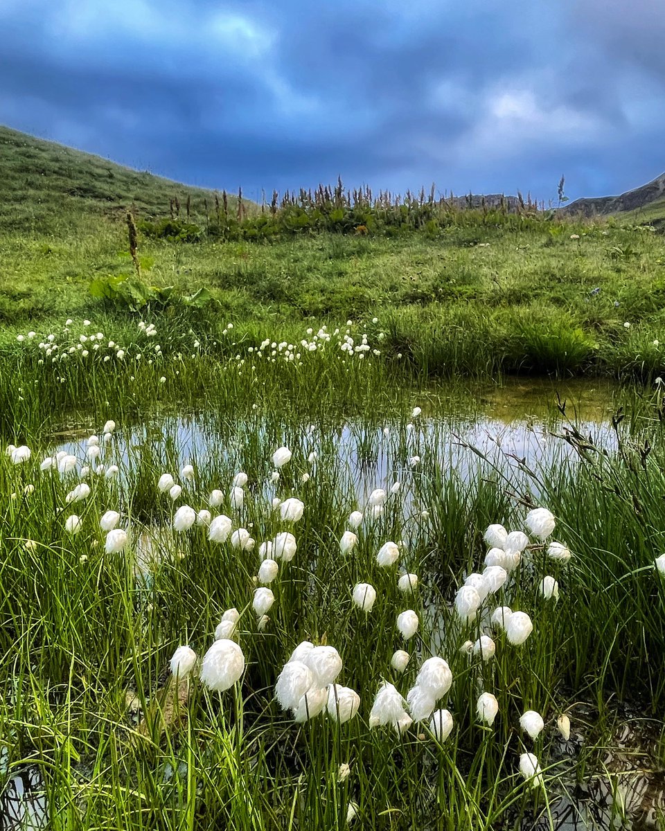 SanlesT's tweet photo. 🪬La vida no es corta, sino que la malgastamos mucho …

#caminando #mujerymontaña #ElVeranoEsUnaActitud #Tbt #ElMundoEnMiMochila #ElEncantoDeLaVidaSimple #slowlife #filosofando #filosofíaestoica 
#estoicismo 
✍️ #seneca https://t.co/ZeDa7PIzb9