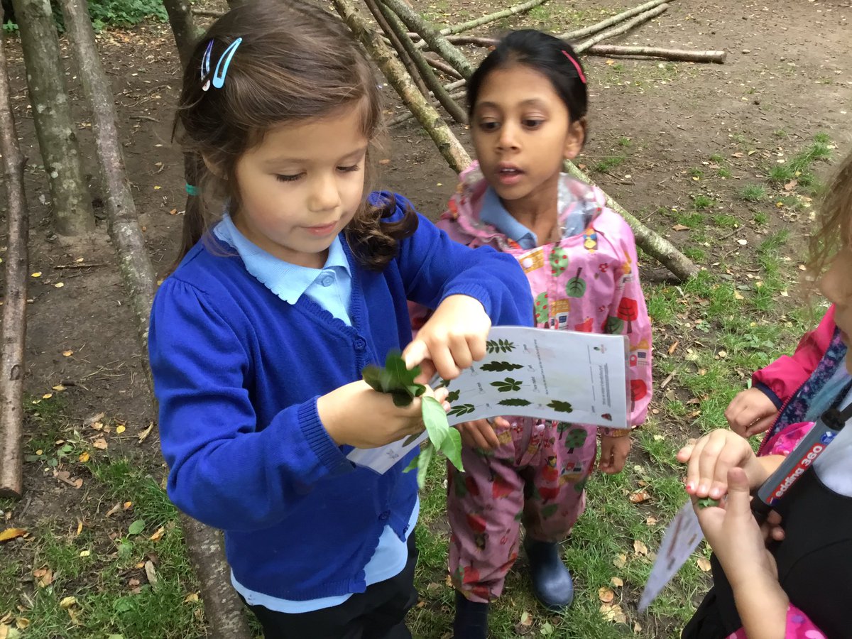 lordderamores's tweet photo. Y1 went on a leaf and identified leaves from different trees.  #LordDForest #LordDSci https://t.co/idO0HIwtEj