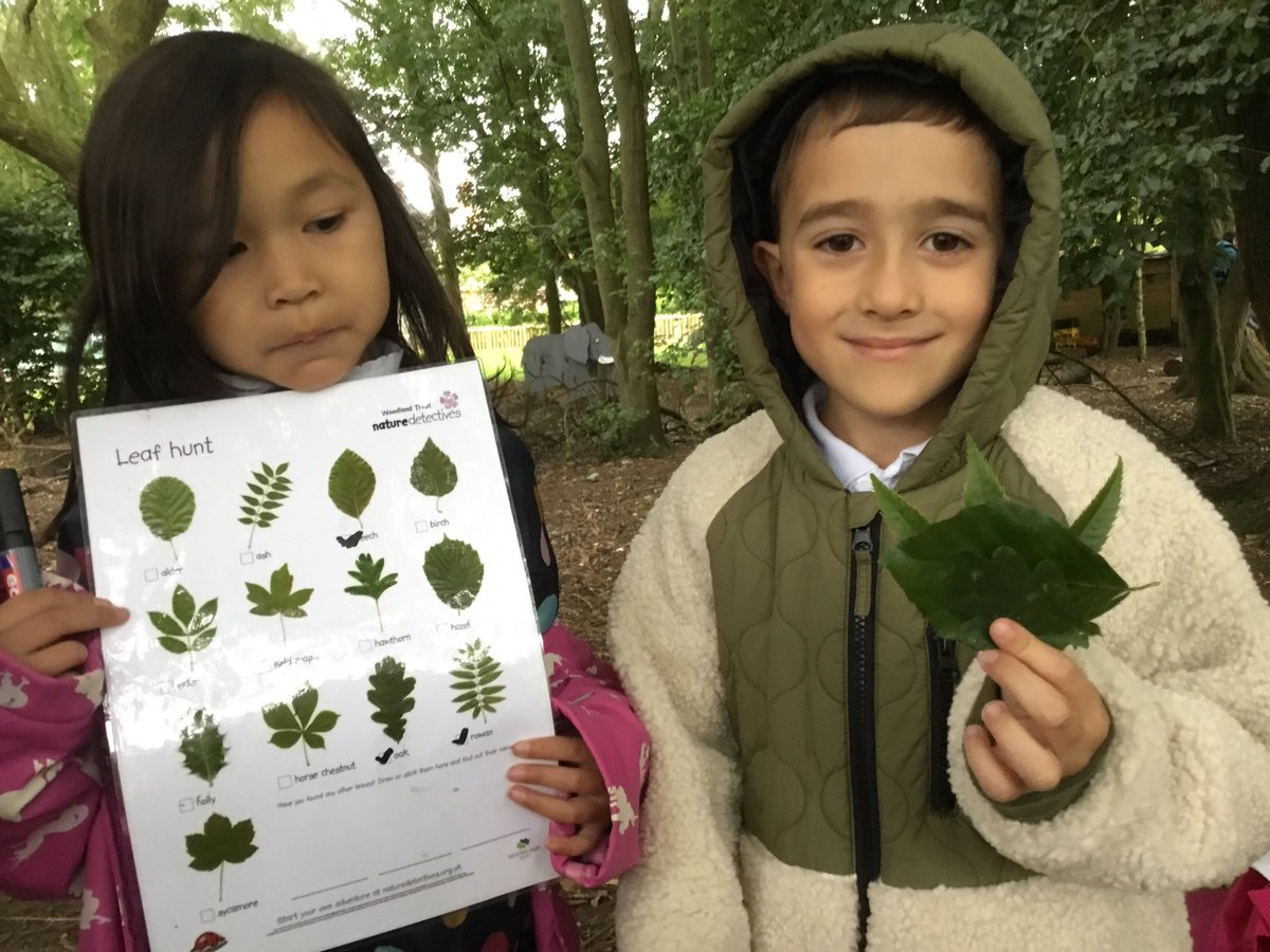 lordderamores's tweet photo. Y1 went on a leaf and identified leaves from different trees.  #LordDForest #LordDSci https://t.co/idO0HIwtEj
