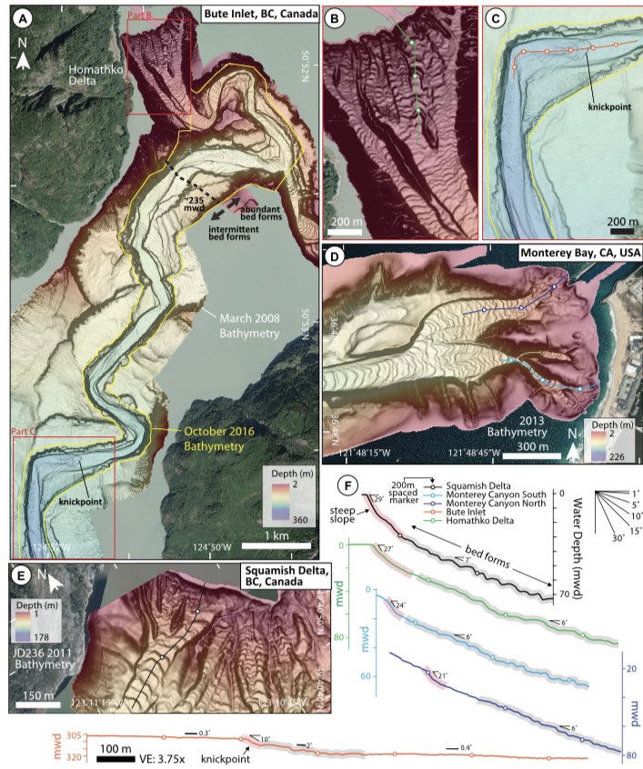 Mike Clare tweet media