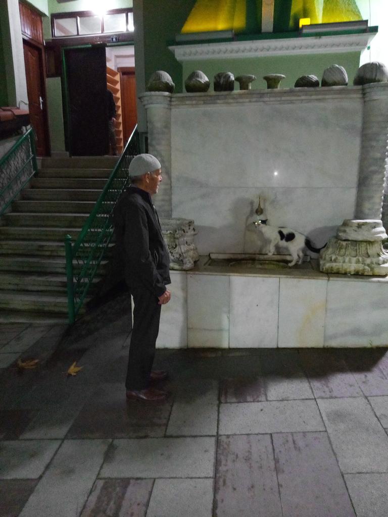 Ahirzaman alametlerinden biride hayvanlar konuşacak kediler köpekler artık yerdeki kaplardan su içmiyor direk çeşmeden içmek istiyorlar