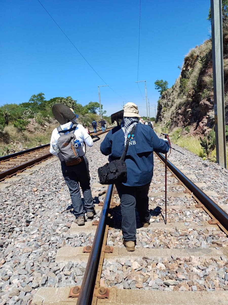 Comisión Nal. de Búsqueda Mx tweet media