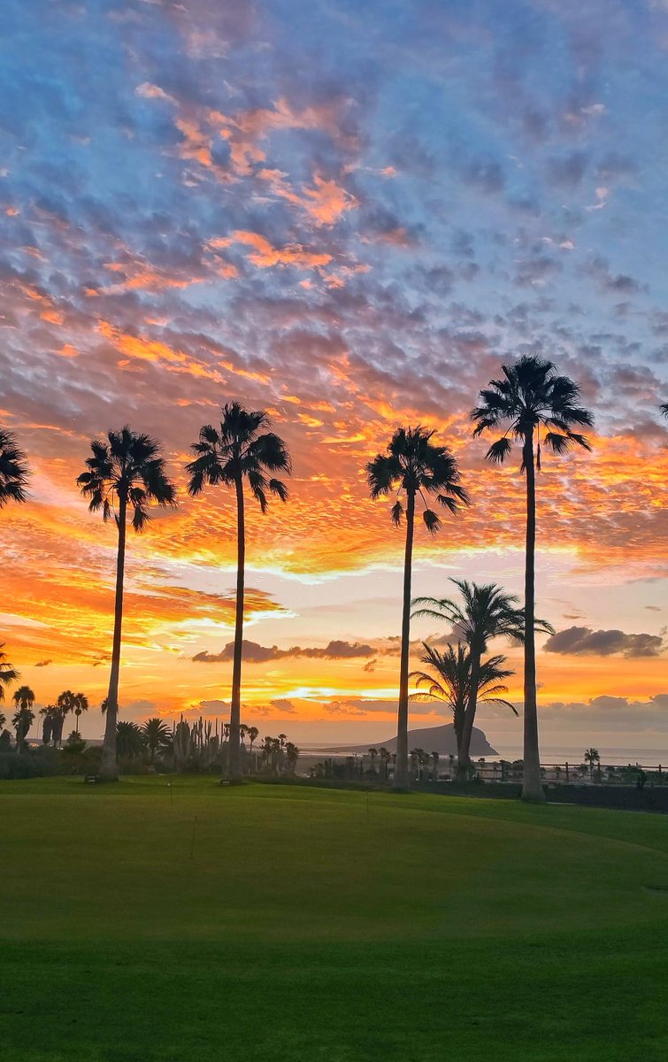 Good morning from #royaltenerifecountryclub  #golfdelsur #TenerifeSur @VisitTenerifeES @JuanjoTenerif @Laura_RCTF @Marialuisagarec @SoniaMerayo @Milacompi @Oscar3637483977 @NuriaNaiaraBorj