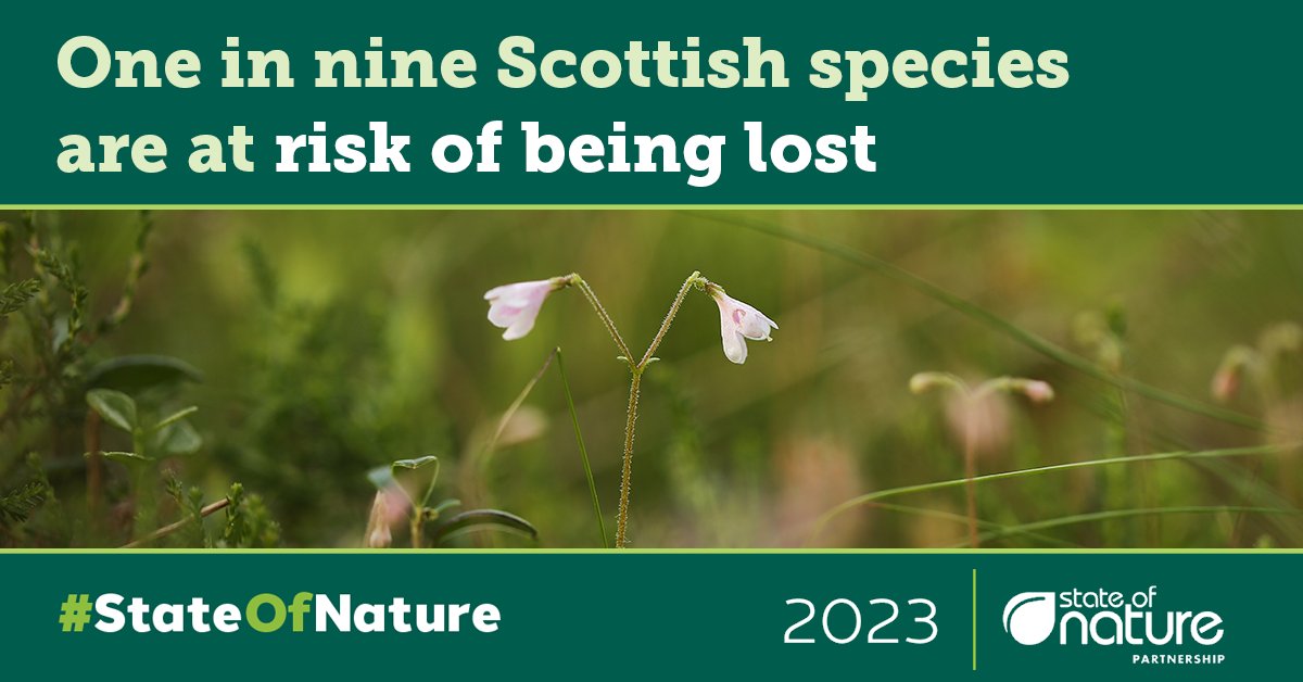 Scotland’s wildlife has fallen by 15% since 1994.

This is on top of centuries of biodiversity loss driven by human activity, and Scotland is now one of the most nature depleted countries in the world.

Read more in the #StateOfNature Report orlo.uk/dMozM