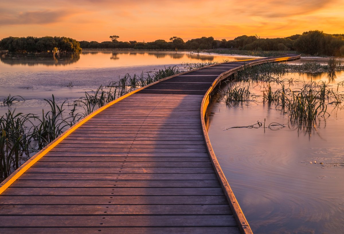 SA Pathology provides services in Ngarrindjeri, Boandik, and Bindjali nations with Collection Centres in the Limestone Coast Local Health Network.
Find a location ➡️ bit.ly/CollectionCent… 
📸 Bool Lagoon, Limestone Coast, Karen Smith
©South Australian Tourism Commission