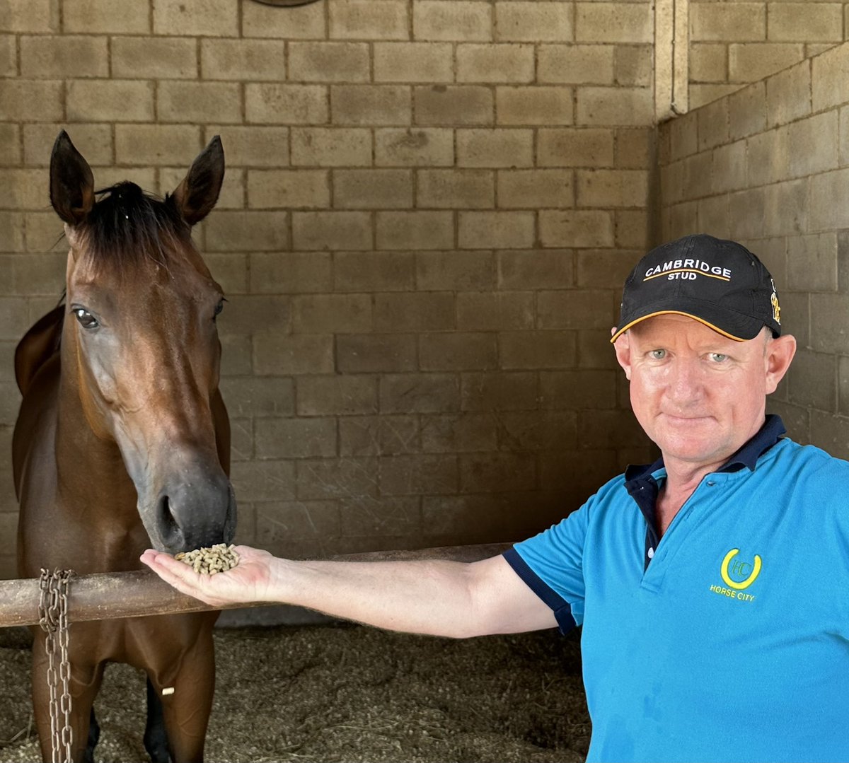 KarakaChat's tweet photo. 📸: NZB’s latest Ready to Run star &amp; Gold Cup winner #PasirPinji (NZ) (Nadeem) is going for 6 wins in a row with trainer expat Kiwi Simon Dunderdale 👏🏻 🏇🏻
@SelangorTC https://t.co/s4VzcEvqoz