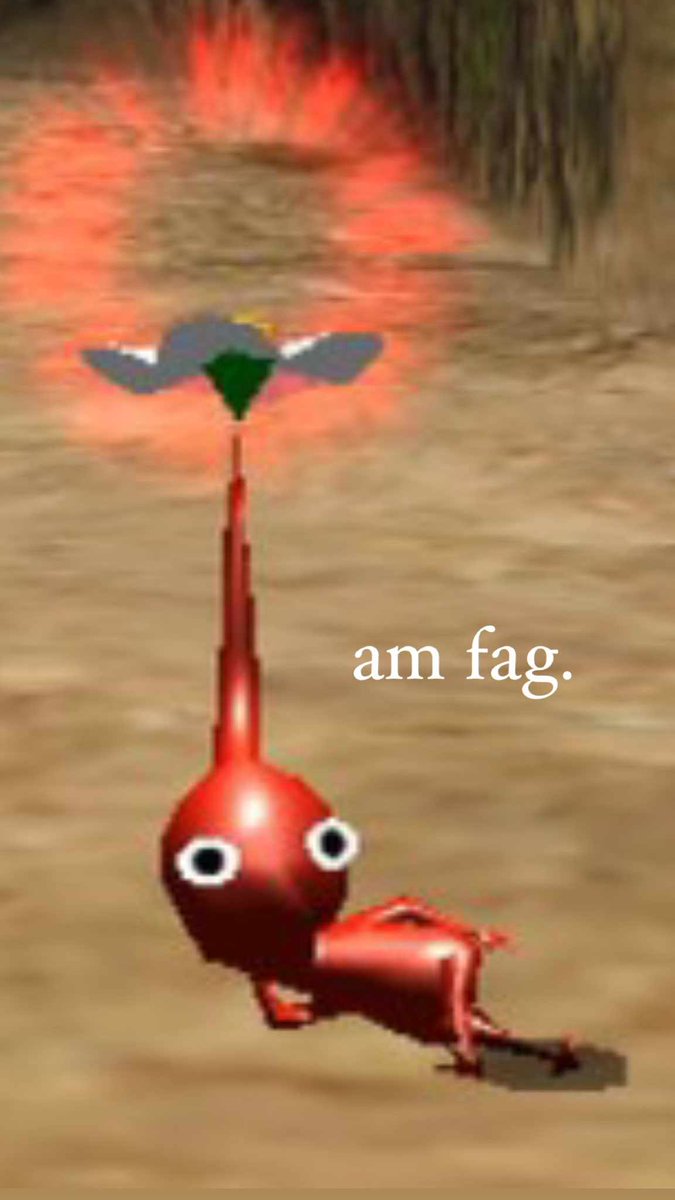 Minnow♨️ tweet media