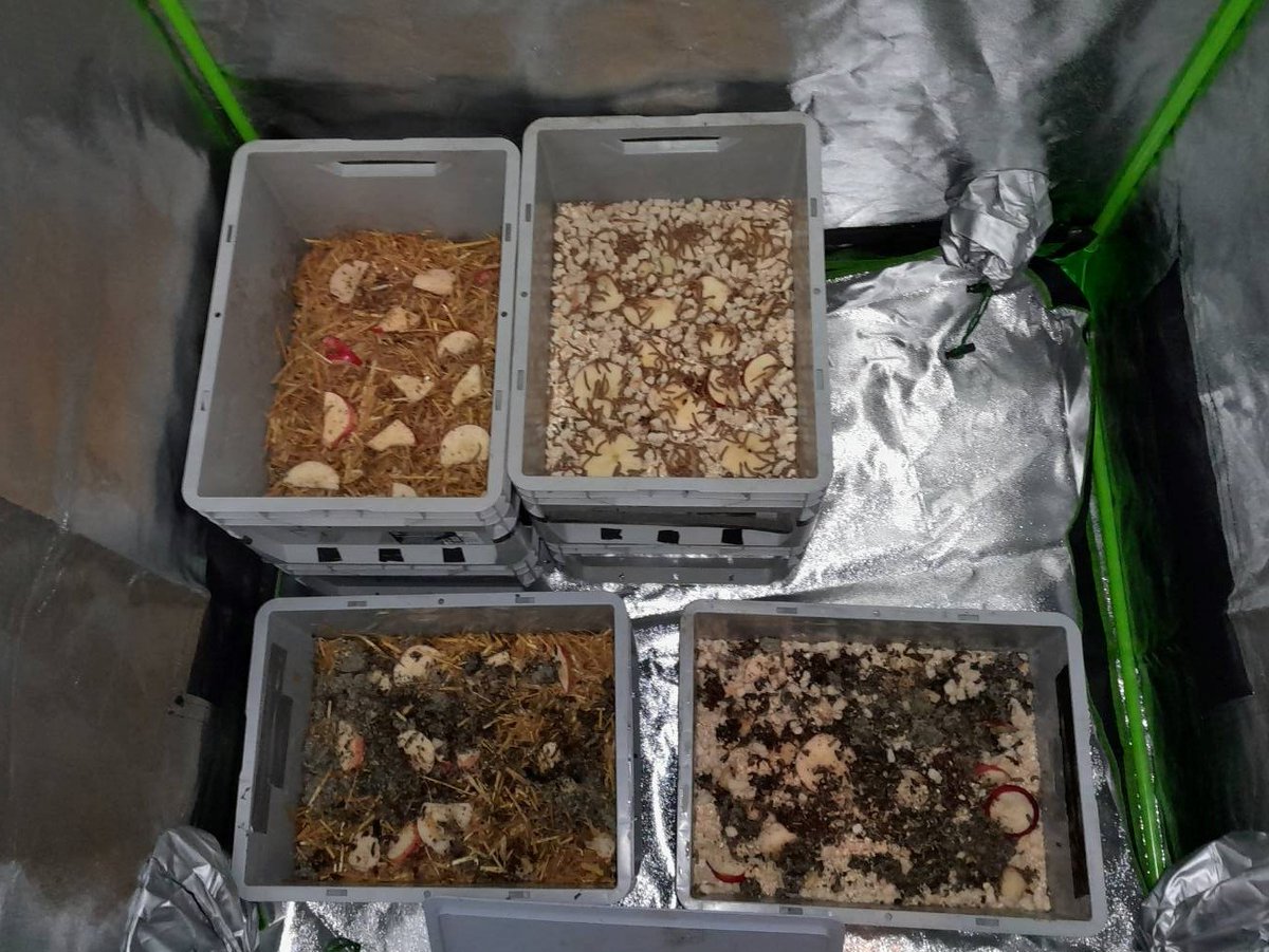BIO4Africa (@bio4africa) on Twitter photo Biorefineries are a mine of opportunities⛏️💎 Our twin project <a href="/PDivagri/">Project DIVAGRI</a> is using them to turn crop residues into bioethanol, fertilisers and nutritious mushrooms. Great to see the DIVAGRI team at our meeting last week😊
<a href="/inphbpolytech/">INP-HB</a> <a href="/Cirad/">Cirad</a> <a href="/MTU_ie/">Munster Technological University</a> <a href="/Sava_Net/">SavaNet-Ghana</a> <a href="/ihedelft/">IHE Delft 💧 Institute for Water Education</a> <a href="/Celignis/">Celignis Biomass Lab</a> Biorefineries are a mine of opportunities⛏️💎 Our twin project <a href="/PDivagri/">Project DIVAGRI</a> is using them to turn crop residues into bioethanol, fertilisers and nutritious mushrooms. Great to see the DIVAGRI team at our meeting last week😊
<a href="/inphbpolytech/">INP-HB</a> <a href="/Cirad/">Cirad</a> <a href="/MTU_ie/">Munster Technological University</a> <a href="/Sava_Net/">SavaNet-Ghana</a> <a href="/ihedelft/">IHE Delft 💧 Institute for Water Education</a> <a href="/Celignis/">Celignis Biomass Lab</a>