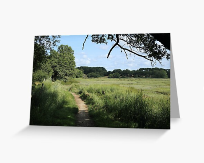 travelphotouk's tweet photo. Footpath and view of salt marsh on the River Vincin close to Vannes. Now available on #redbubble, one of my images from my summer walking trip around the #golfedumorbihan in #brittany, France.

https://t.co/1fqTuFyIs1

#GR34 #sentiercotier #longdistancewalk #pilgrimage https://t.co/DlOerEYeeR