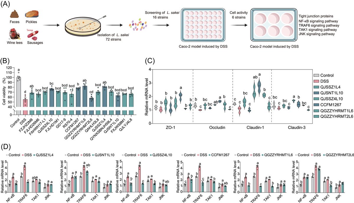 iMetaScience's tweet photo. Intraspecific difference of Latilactobacillus sakei in inflammatory bowel diseases: Insights into potential mechanisms through comparative genomics and metabolomics analyses 
#IBD #Bioinformatics #metagenomics #probiotic #metabolism 
https://t.co/NutwAeTagc 
@wileymicrobio @WileyBiomedical @WileyHealth