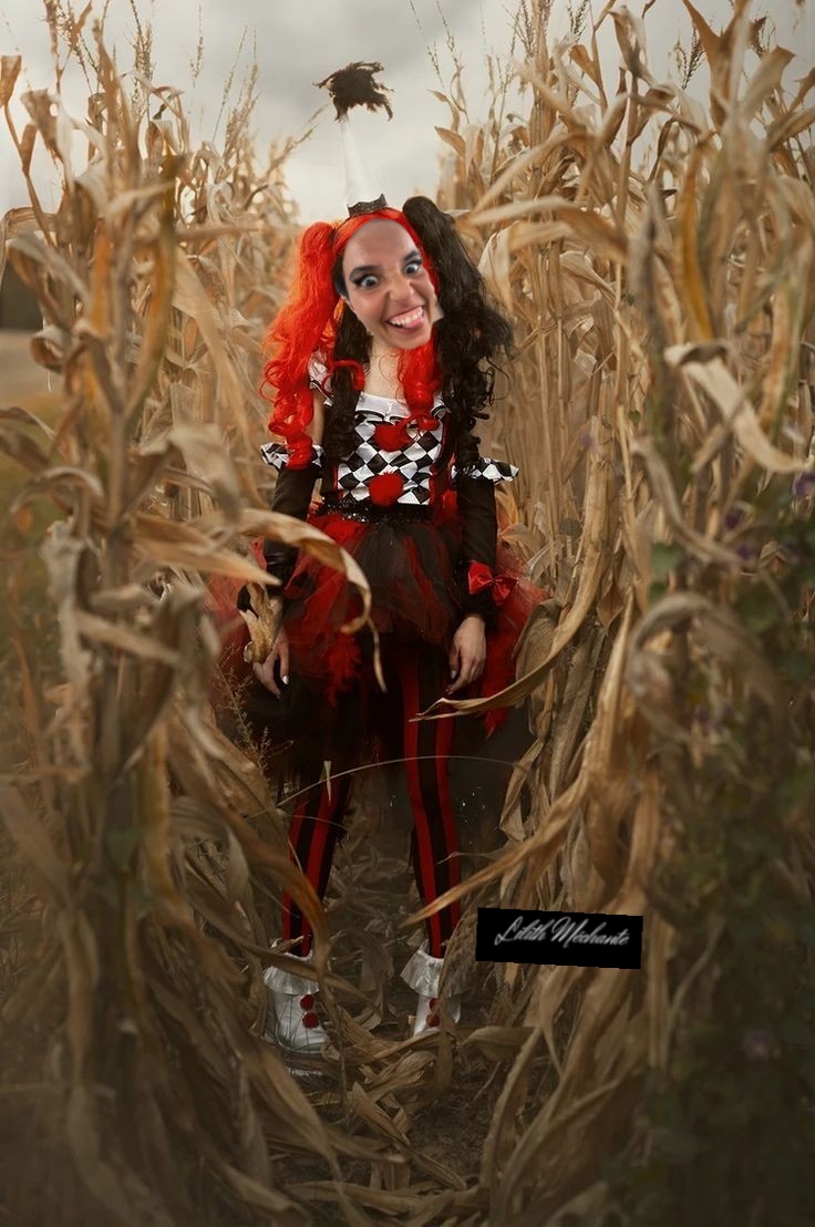 Lilith Méchante tweet media