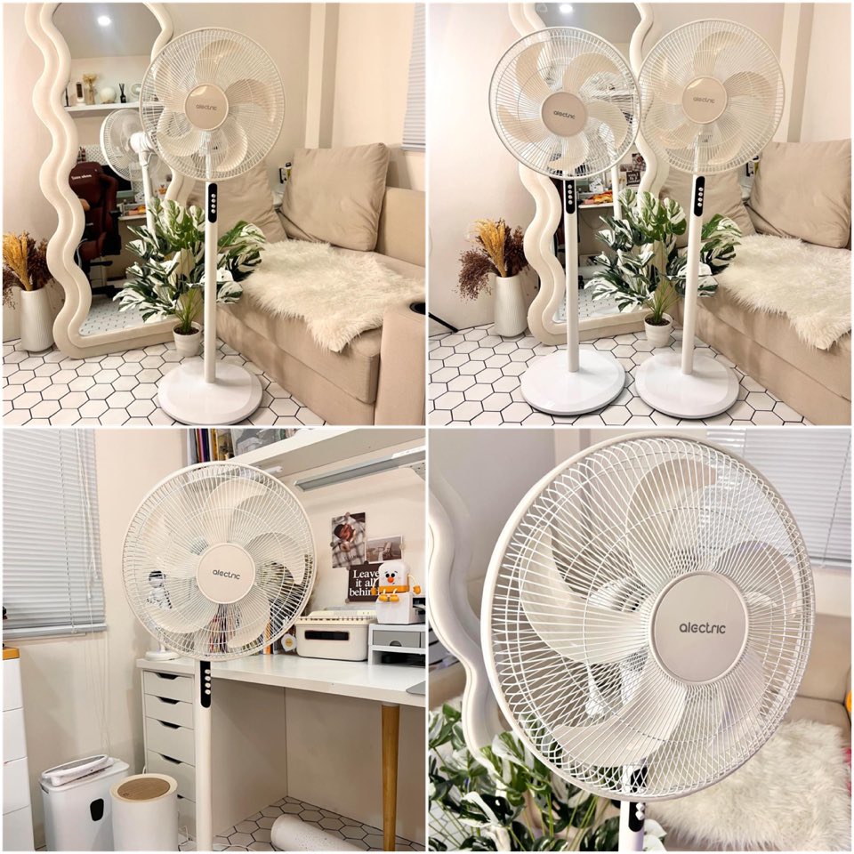 จูลลดา tweet media