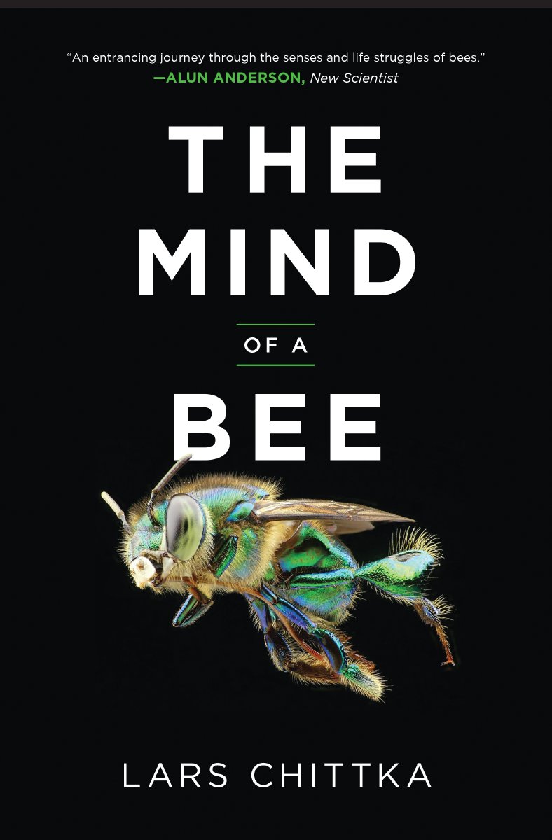 Out now in paperback: The Mind of a Bee nhbs.com/the-mind-of-a-… @LChittka @PrincetonUPress @PrincetonNature @RoyEntSoc @amentsoc @EntsocAmerica @CanEntomologist @Aust_Ent_Soc @NHM_Bees @SaveOurBees_ @HymenopteraJour #entomology #insects #bees #hymenoptera