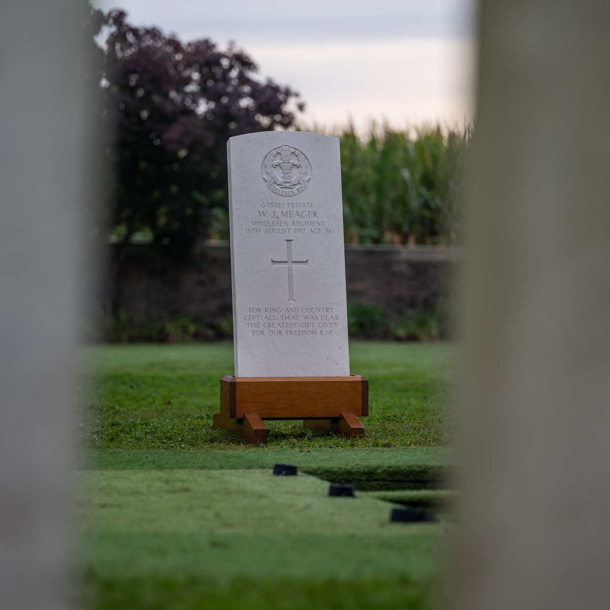 Simon Verdegem tweet media