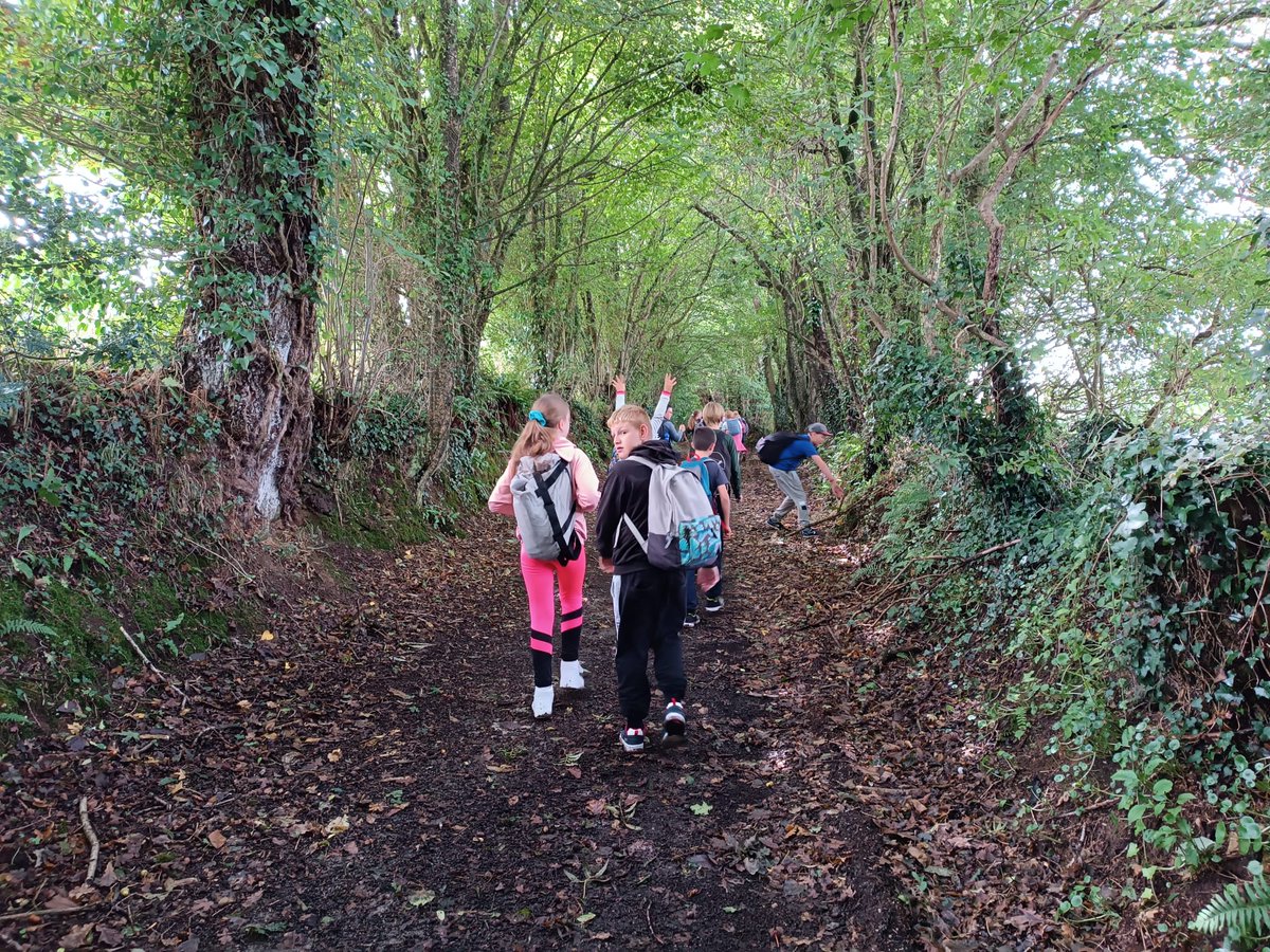 Séjour d'intégration des 6e : jour 1 Au programme découverte du marais de la sangsurière et randonnée sur le Mont Doville. #SaintSauveurLeViconte #labelE3D #Cotentin