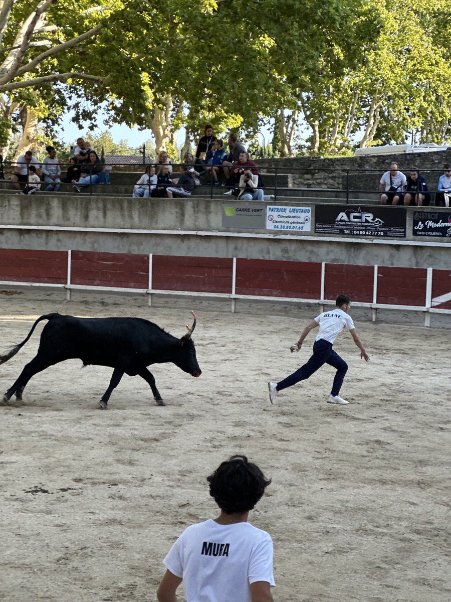 BaubryR's tweet photo. Retour sur la course camarguaise de samedi à Eyguières avec l’école taurine la bouvine et la manade Agu. 🐂
Toujours un plaisir d’assister à ces courses qui honorent l’art taurin de la région !
🌐https://t.co/WDdVPOGzXn
#circo1315 #manade #course https://t.co/IFp8r2alp1