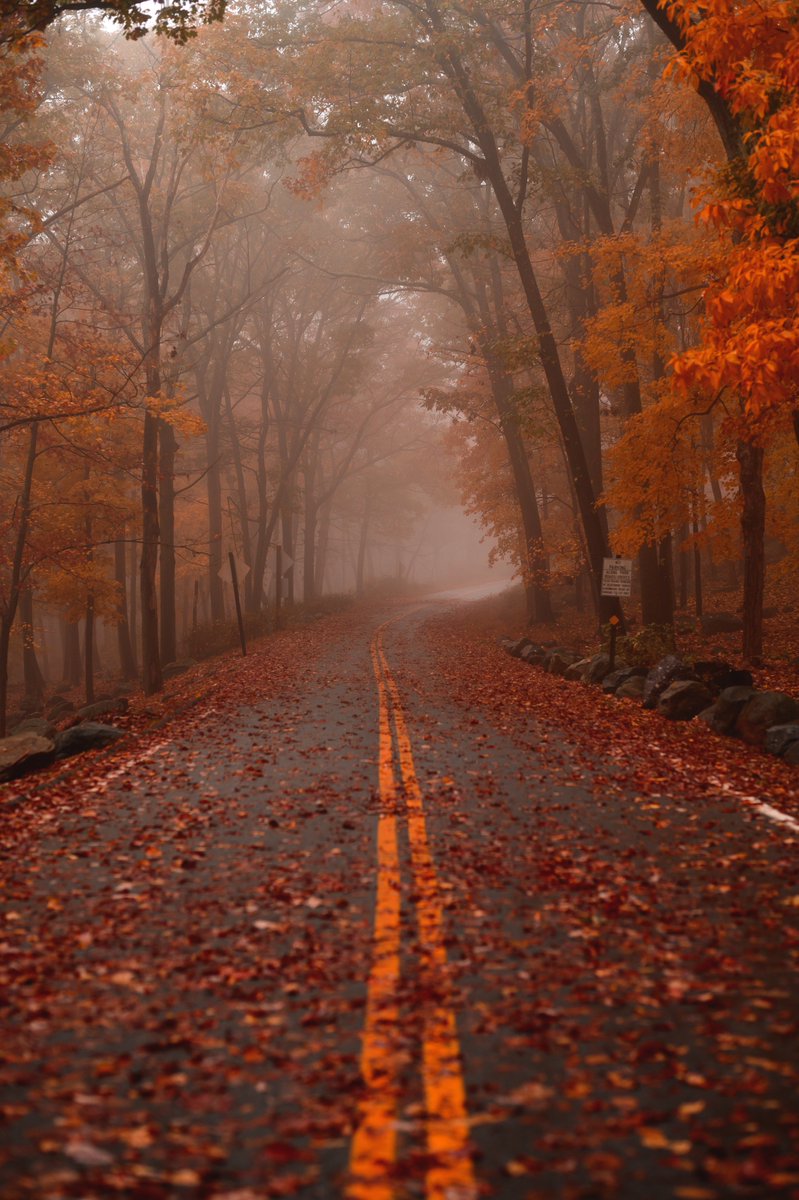 Underground tweet media