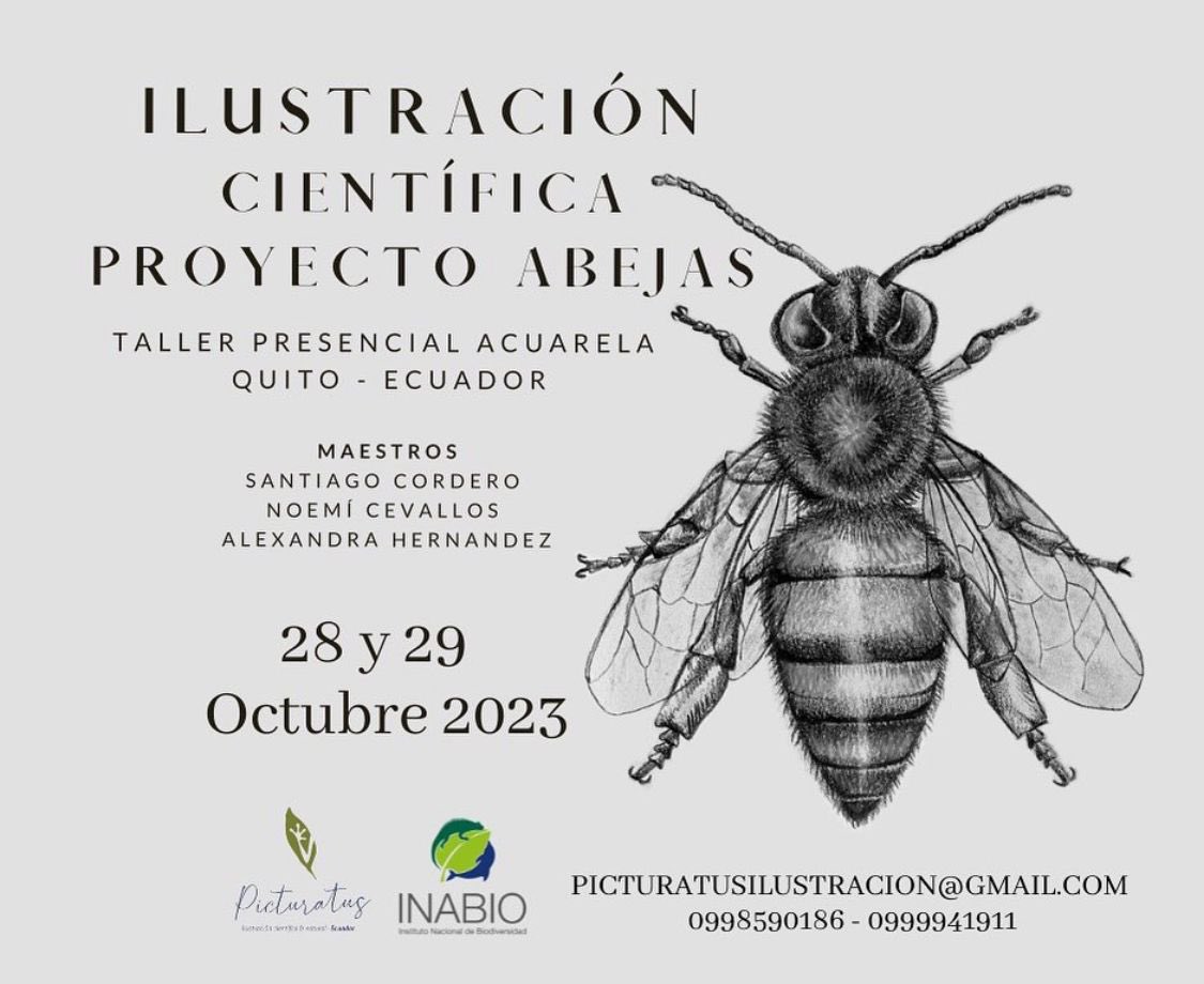 Noemí Cevallos tweet media