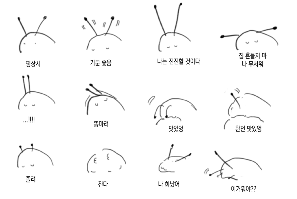 buseuleogi51146's tweet photo. https://t.co/2EVhSXvxtE