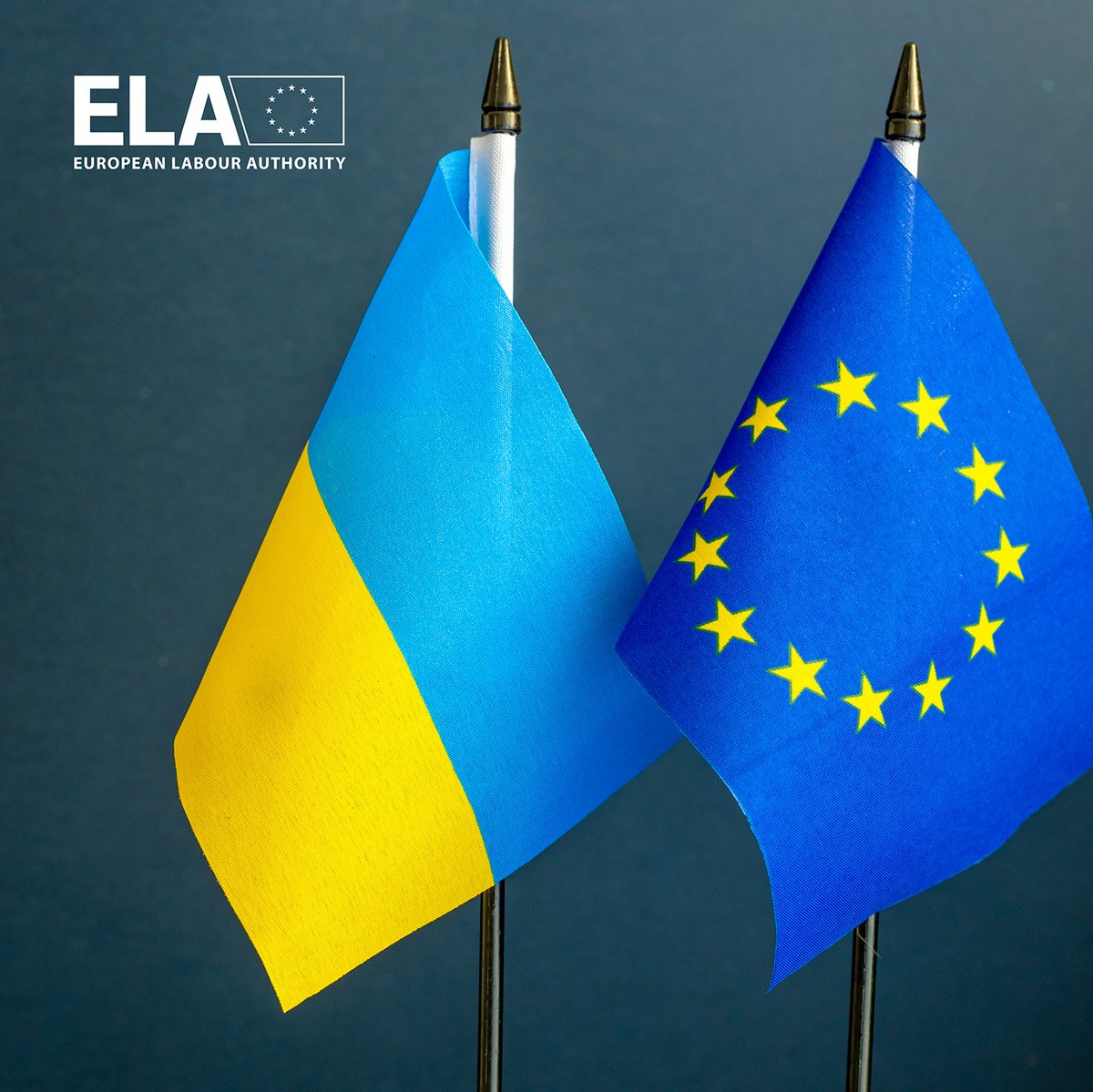 EU_ELA's tweet photo. 📣Happening now: #undeclaredworkplatform subgroup meeting on tackling #UndeclaredWork among displaced persons/refugees from 🇺🇦Ukraine, organised by #EULabourAuthority.
Representatives from national relevant organisations and institutions are meeting online to⬇️ https://t.co/mEPLgwoWy1