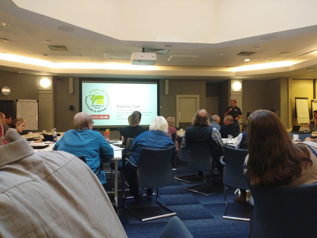 RoyalVetCollege's tweet photo. 🐑 Two RVC staff members recently gave talks at the @SheepVetsoc Autumn Conference in Glasgow

Dr Neil Paton, Lecturer in Farm Animal Health and Production presented on 'Sheep Scab' whilst Lecturer in Small Ruminant Health and Flock Management JP Crilly's topic was 'Worm Control' https://t.co/oAQohh6gxg
