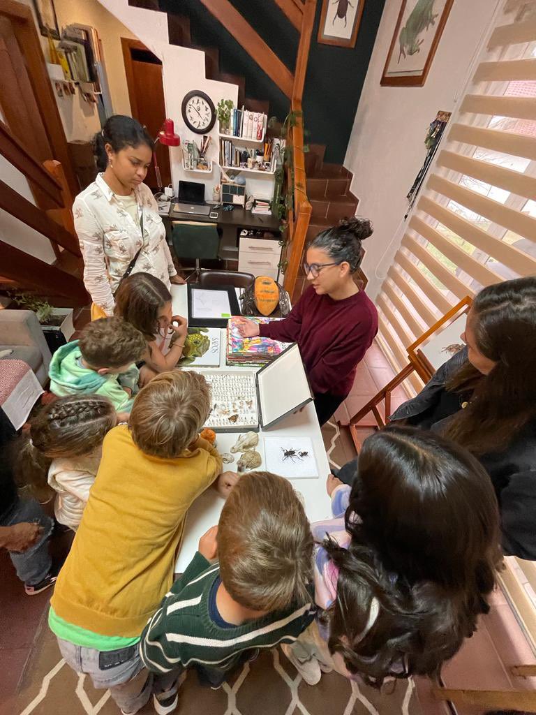 Noemí Cevallos tweet media