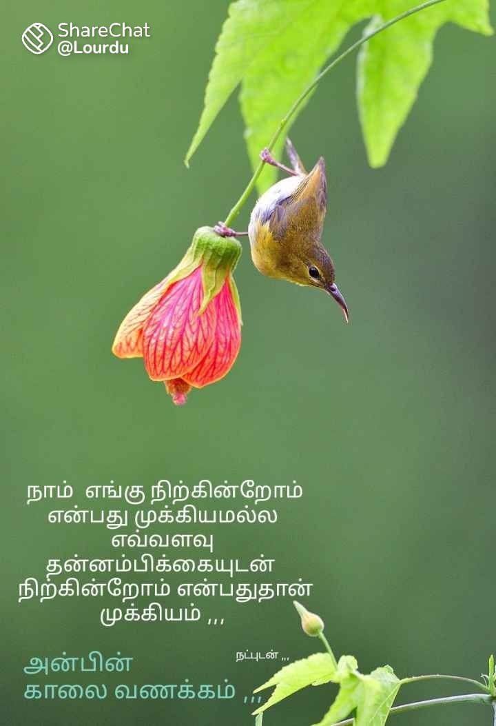 LingamJp's tweet photo. Hi good afternoon https://t.co/7XoPR00N52