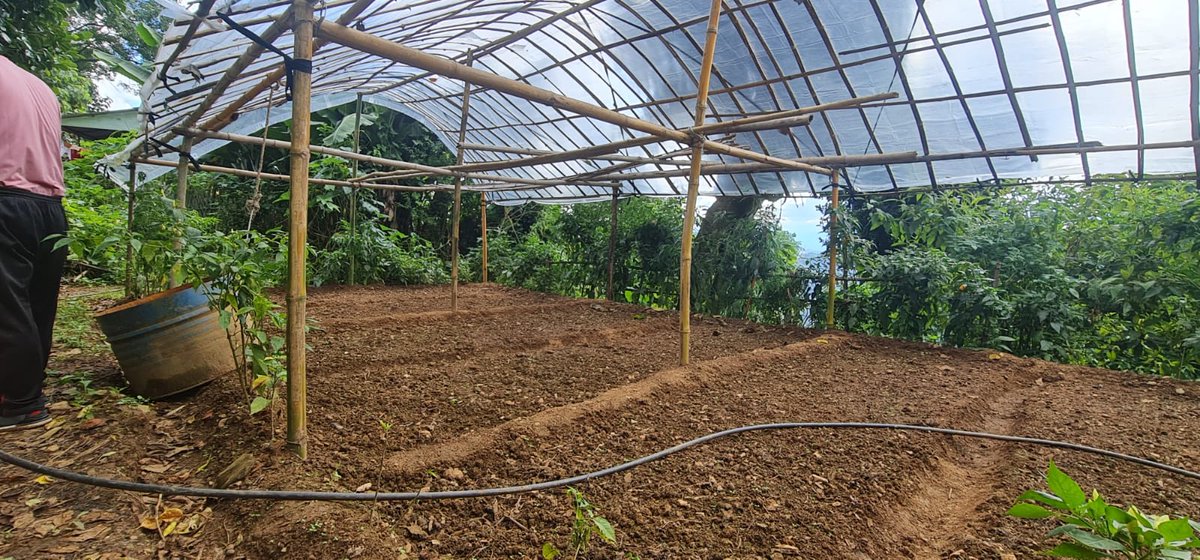 Mondo Foundation tweet media