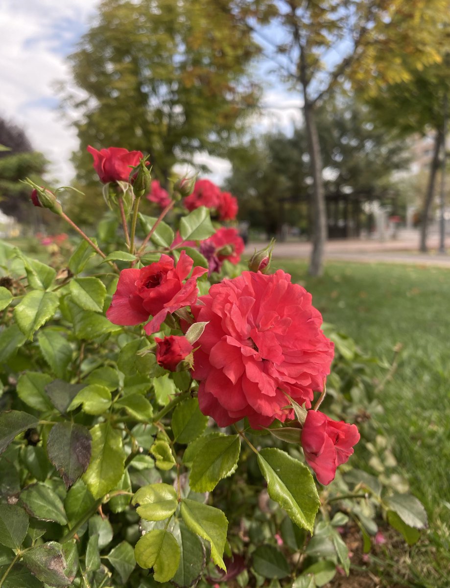 Yaşam yolu kıvrımlıdır ve hiçbir yön birbirinin aynısı değildir. Ancak derslerimiz varış noktasından değil yolculuktan gelir.

#nature #music #world #x 
Don Williams