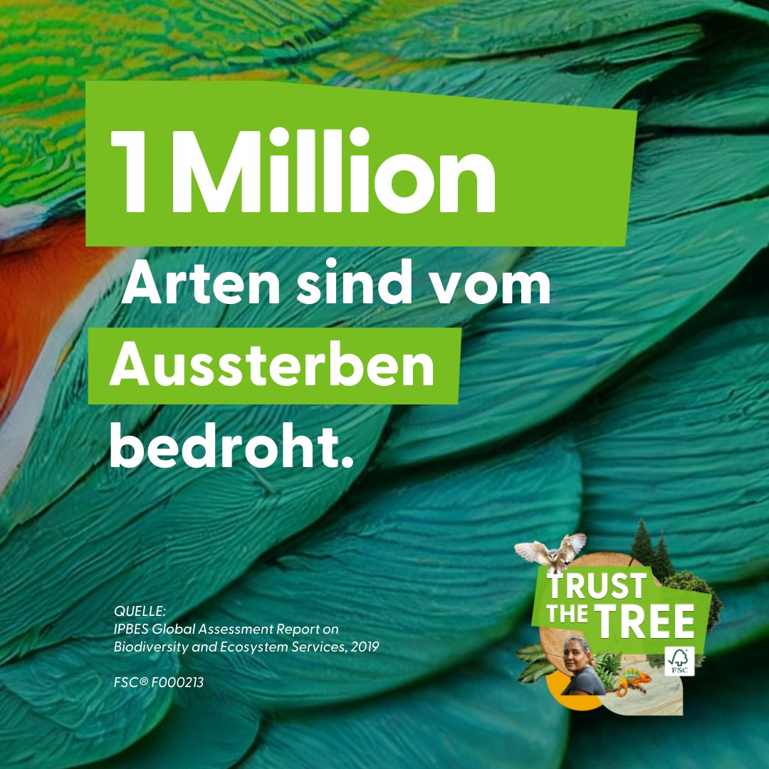 fscagd's tweet photo. Wusstest du, dass 1 Mio. Arten vom Aussterben bedroht sind? Werde in  der #FSCForestWeek Mitstreiter, um gemeinsam mit uns die Wälder zu erhalten und den Klimawandel zu bekämpfen. Erfahre hier mehr dazu:  https://t.co/B8v12RGLW5   #TrustTheTree https://t.co/tvApUo5A0Z