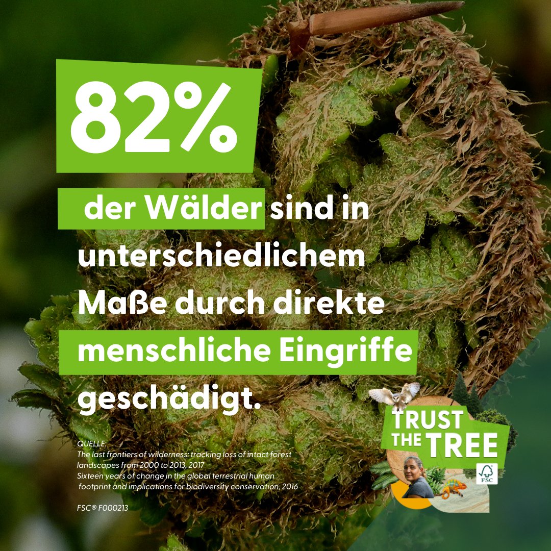 Wusstest du, dass 1 Mio. Arten vom Aussterben bedroht sind? Werde in  der #FSCForestWeek Mitstreiter, um gemeinsam mit uns die Wälder zu erhalten und den Klimawandel zu bekämpfen. Erfahre hier mehr dazu:  fsc.org/forestweek   #TrustTheTree