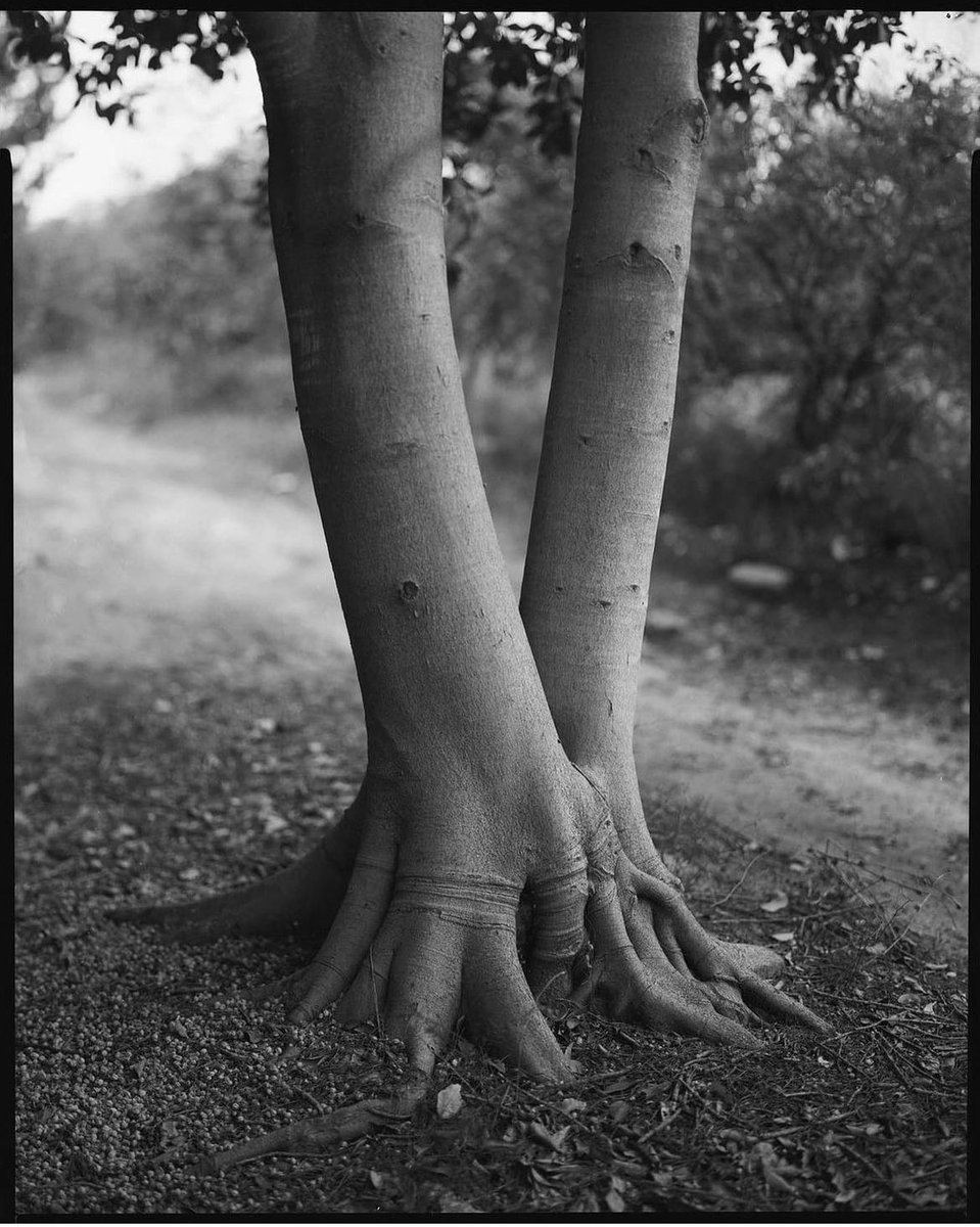 Caro69cr's tweet photo. «Hacer lo útil, decir lo justo y contemplar lo bello; es bastante para una vida».
-T. S. Eliot https://t.co/I1ad0mmwf3