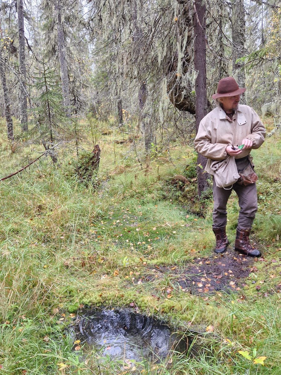 Olgan čuppuni: "Pari netälie takaperin milma lykyšti Šuomen vienalaiskylien matalla. Piäsin käymäh Kultalähtiellä, kumpani on läššä Venyähen rajua Kuhmon Vartiuksešša. Šen šuarnanmoini meččä ei taho lähtie mieleštä..."
uutiscuppu.karjalansivistysseura.fi/?p=9483