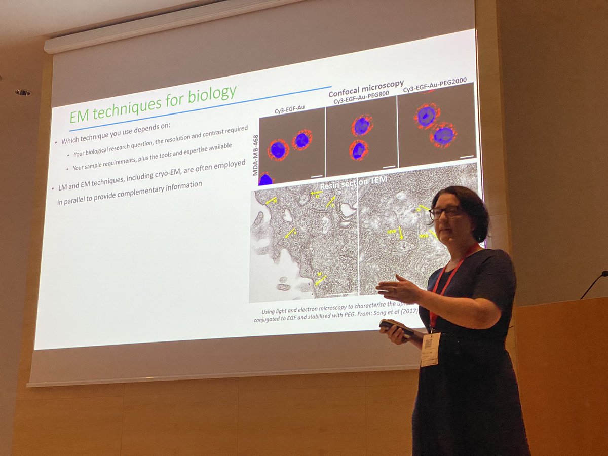 Day 2 of #MFS2023 at @INLnano is starting off with a Plenary Lecture by the master of Biological Sample Preparation by Errin Johnson