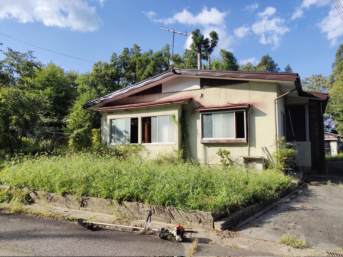 star_1420's tweet photo. やっっっと家の草刈りした

よく見たら猫さんが住み着いてるし
刈った翌���にクロッカスが咲いた🌷 https://t.co/gMSA2FhkQX