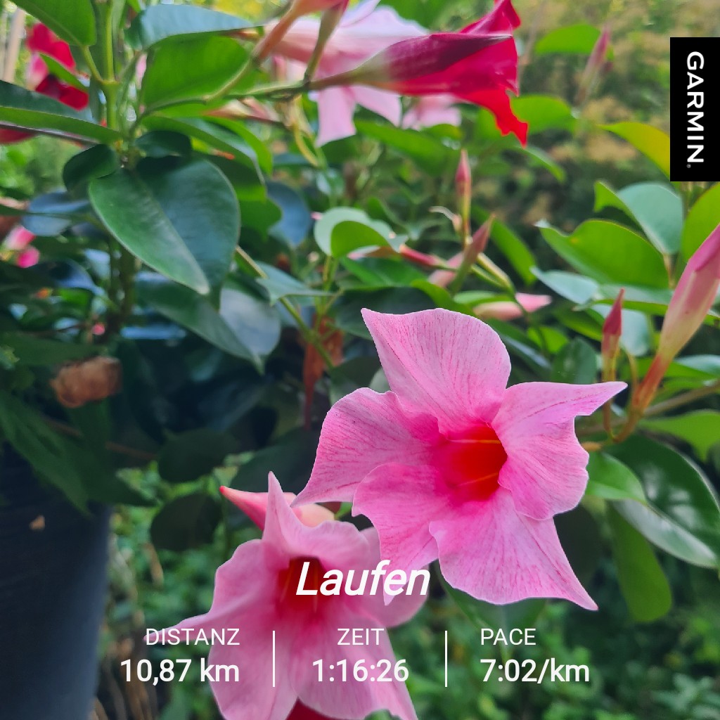 Gemütlich in den Tag gestartet 🏃‍♀️
🌸🌺